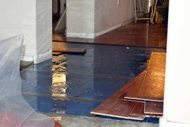 Professional Water Extraction technician working in Olga, WA